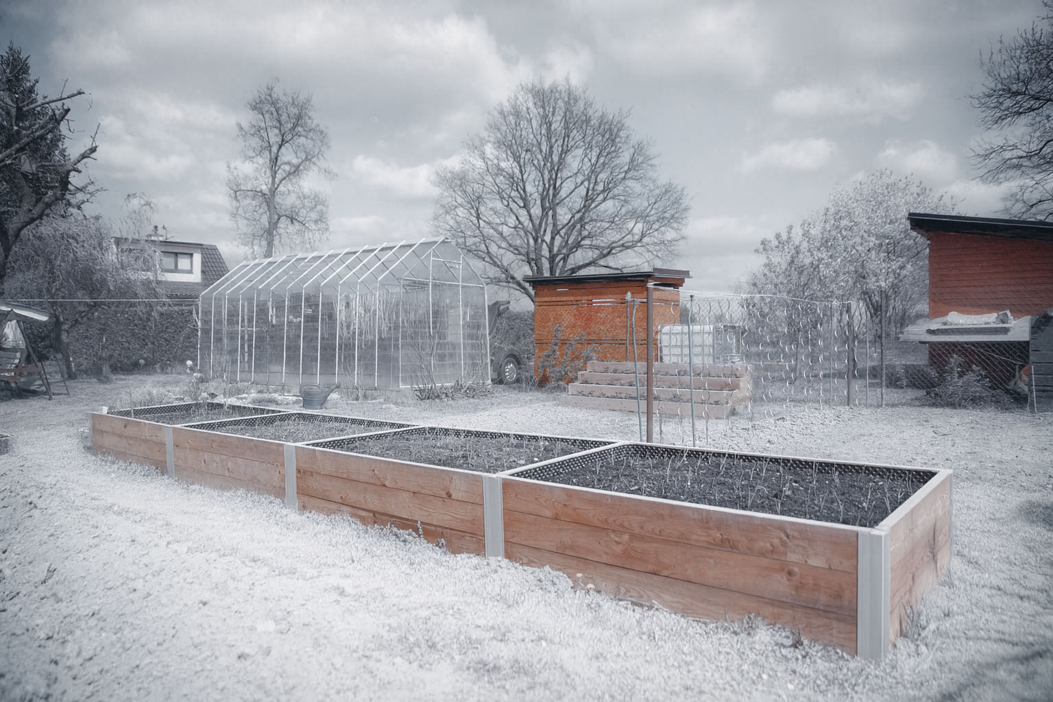 Zimní zahrada s mulčovanými záhony a stromky